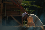 DSCF9538.JPG